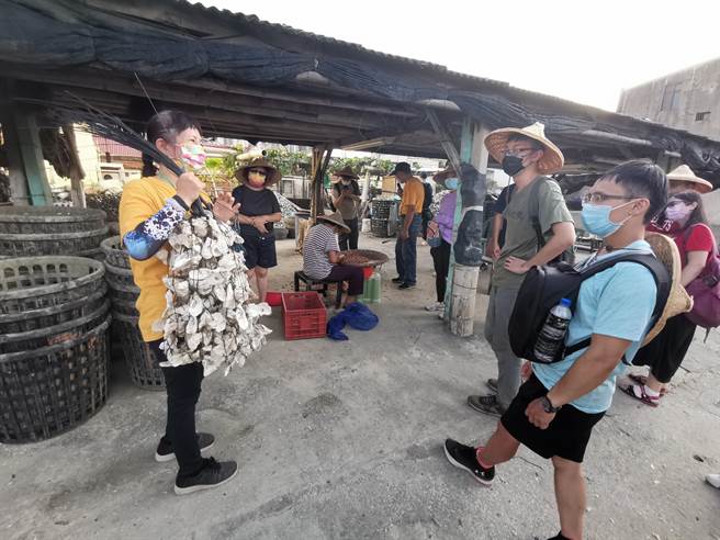 「七股咸日子」活动下午先带游客走访社区。(刘秀芬摄)