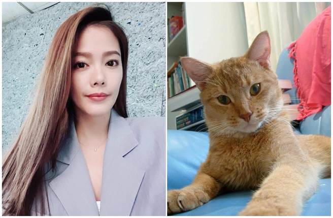 翊萱曾养一只猫叫「咖哩」，是大炳家猫咪生的小猫，后来不幸病逝。（摘自脸书、艾迪升传播提供）