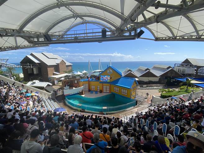 国庆连假花莲远雄海洋公园今早出现排队游客，截至中午，入园人数已达6000人，创下今年疫情以来最高峰。（花莲远雄海洋公园提供／罗亦晽花莲传真）