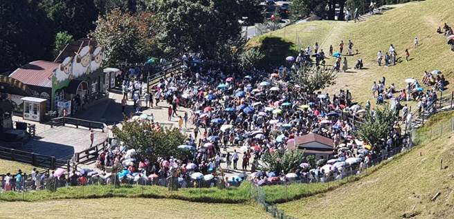 清境农场国庆日涌入8300人，创下今年最高纪录。（清境农场提供／陈淑芬南投传真）