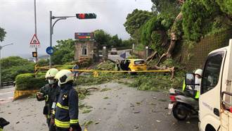 陽明山強風豪雨 計程車送老師進校遭大樹壓毀 司機受傷送醫