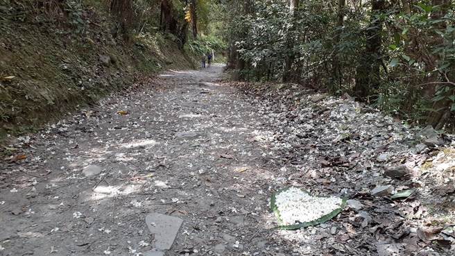 玉山「八大秀」包括，八通關山、大水窟山、秀姑巒山等，山景風光明媚，有些崩壁路段。（摘自玉山國家公園臉書）
