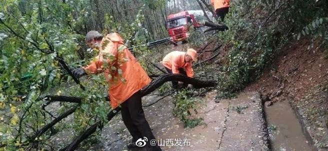 山西暴雨肆虐造成树木倒塌，相关人员启动灾后恢復重建工作。（图／山西省人民政府新闻办公室官方微博）