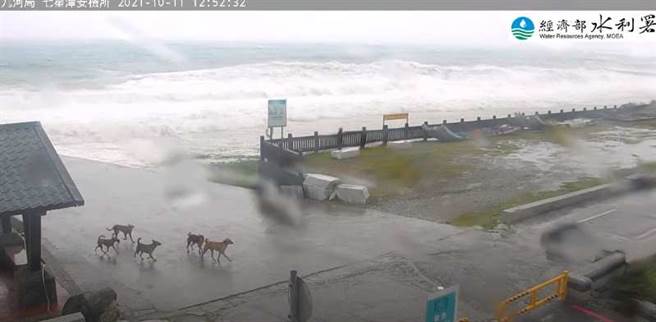 圖為花蓮七星潭的即時影像，不只狂風暴雨，還有大浪。(翻攝自YouTube)