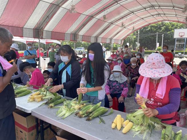 11日在县府城乡发展处指导下，鹿北社区以玉米作主题举办活动，鹿北美「麦」指的是番麦（玉米），有玉米食农教育、剥玉米比赛、社区风味餐飨宴。剥玉米比赛以5分钟为限，秤重量分胜负。（周丽兰摄）
