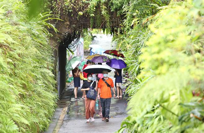 国庆连假最后一天，台北市木栅动物园，11日因轻度颱风「圆规」影响，人潮不多，雨势忽大忽小，入圆民眾穿衣雨及拿雨伞，把握假期入园游玩。(陈俊吉摄)