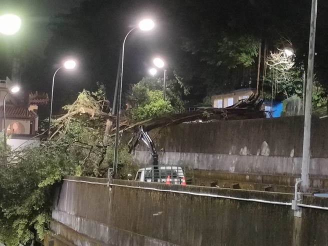 基隆市信二路276号后方边坡道路有一棵大树疑似禁不起阵阵强风，被连根吹倒在路中间。（读者提供／陈彩玲基隆传真）