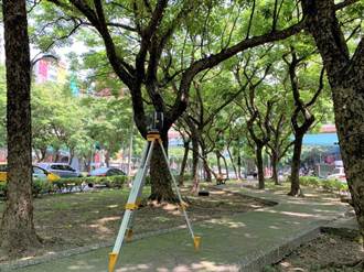 地面光達掃描 都市樹木立體現形
