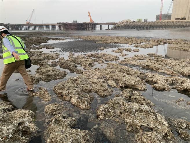 中油第三天然氣接收站外推案，環評專案小組今日將審查環境影響差異分析案。（資料照，呂筱蟬攝）