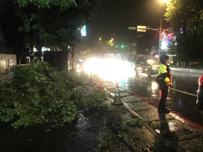 大與路樹塌桃園龍潭警方漏夜清理交管。(警方提供／呂筱蟬桃園傳真)