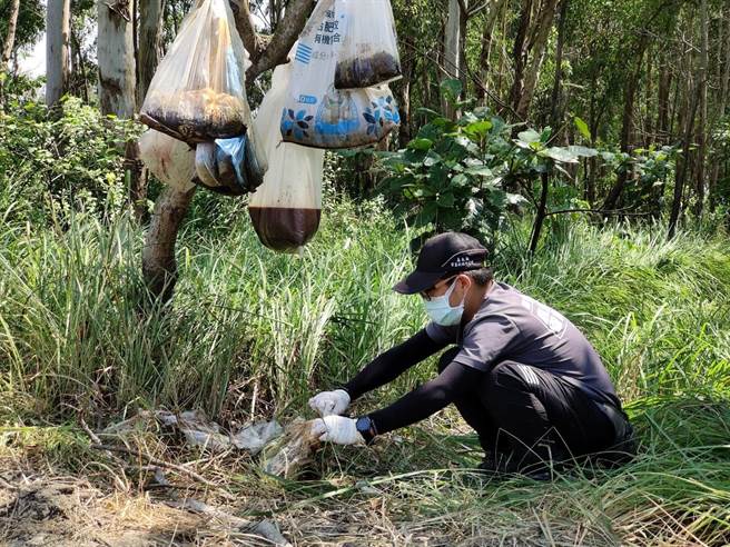 嘉义县家畜疾病防治所人员前往，却惊见一棵光秃树干挂满7、8个发臭塑胶袋，打开发现里头装的是死猫、金纸。（嘉义县政府提供∕吕妍庭嘉义传真）