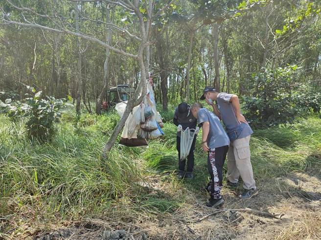 嘉义县家畜疾病防治所人员前往，却惊见一棵光秃树干挂满7、8个发臭塑胶袋，打开发现里头装的是死猫、金纸。（嘉义县政府提供∕吕妍庭嘉义传真）