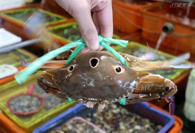 万里蟹会以萤光绿绳捆绑。(图/行遍天下)