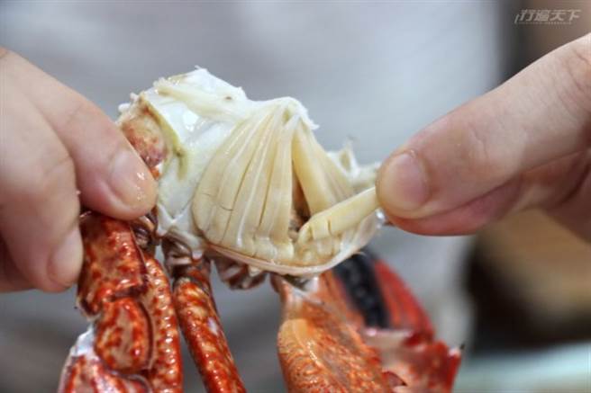 螃蟹的鳃建议勿食用。(图/行遍天下)