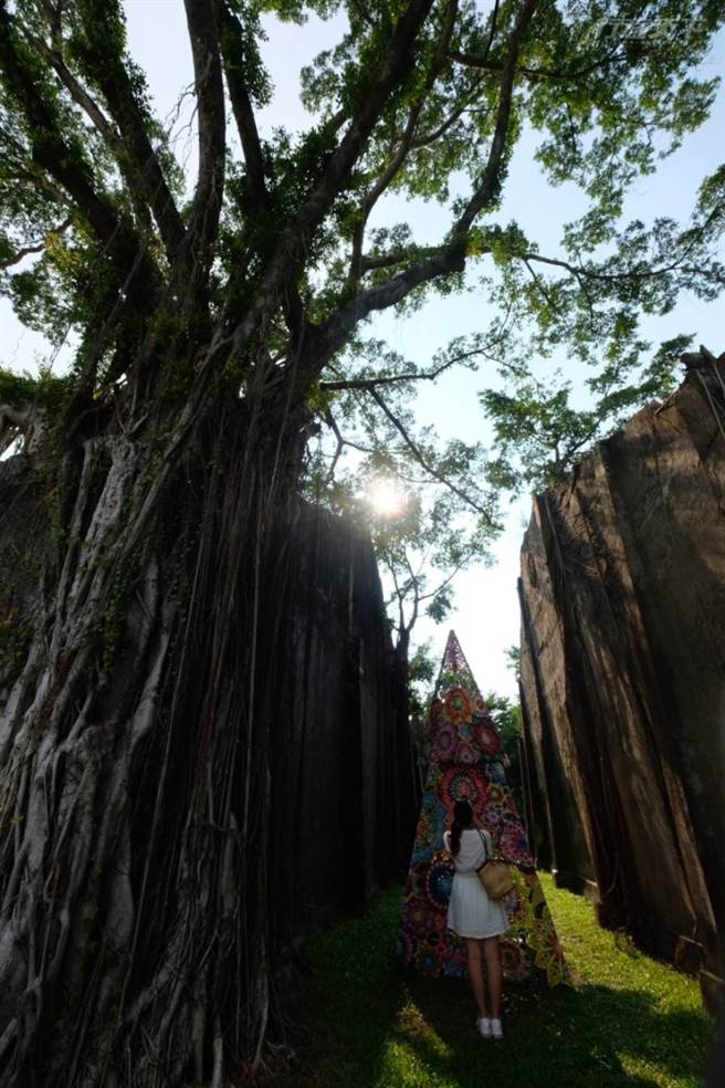 舊鹽水車站與老榕共生的牆面。(圖/行遍天下)