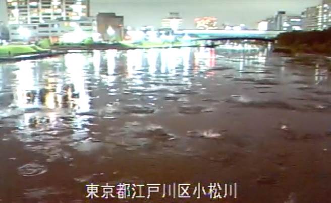 日本先前发生地震时，小松川出现诡异现象，大量鱼群跃出水面，过了10秒后，一群鸟因感受到剧烈摇晃而飞过河川。(图翻摄自推特/国土交通省 荒川下流河川事务所)