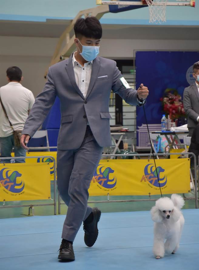 明台高中宠物经营科三年甲班郑吏凯，参加「2021KCT公认指导手资格检定暨竞技比赛大会」通过B级指导手检定，同时也获得竞技组技术奖。（明台高中提供／黄国峰台中传真）