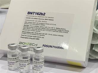美研究：接種第3劑BNT 對長者效益更好