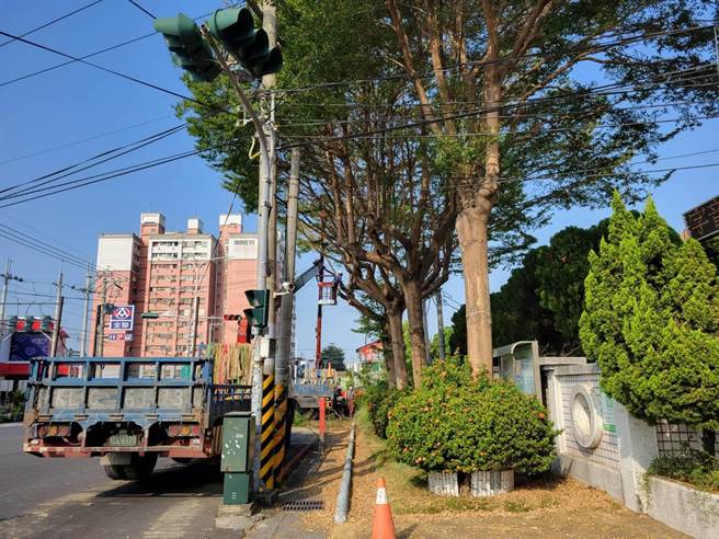 校方澄清并非砍树是做移植，因为现在围墙外花圃大约2公尺宽，几乎一半以上都被小叶榄仁占据，公所协助学校申请经费，要在校门口前建置通学步道。（民眾提供／吴建辉彰化传真）