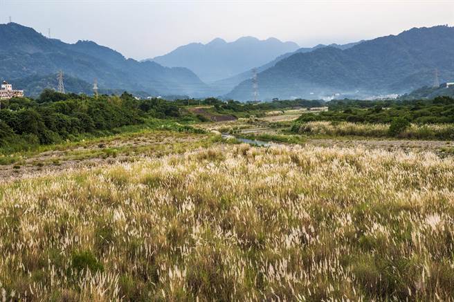 新竹县东峰路可行性评估后，认最佳方案是沿上坪溪左岸新辟道路接122线。（罗浚滨摄）