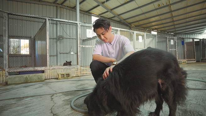 王子邱胜翊到狗园陪伴狗狗。（CHECK2CHECK提供）