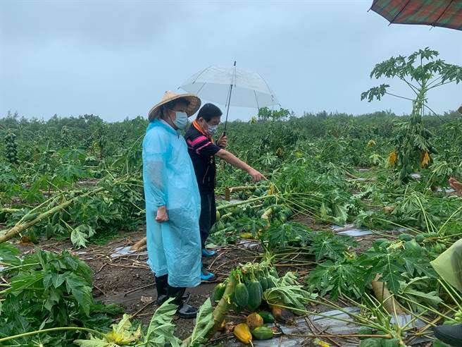 立委傅崐萁今天邀集農糧署、水保局等中央單位，與縣政府農業處副處長、各鄉鎮公所人員專程從新城鄉一路往南的吉安、壽豐、鳳林、光復等地勘災，承諾督促相關部會採取從速、從優方式處理，早日實質協助地方改善農友受災困境。(戴志揚翻攝)