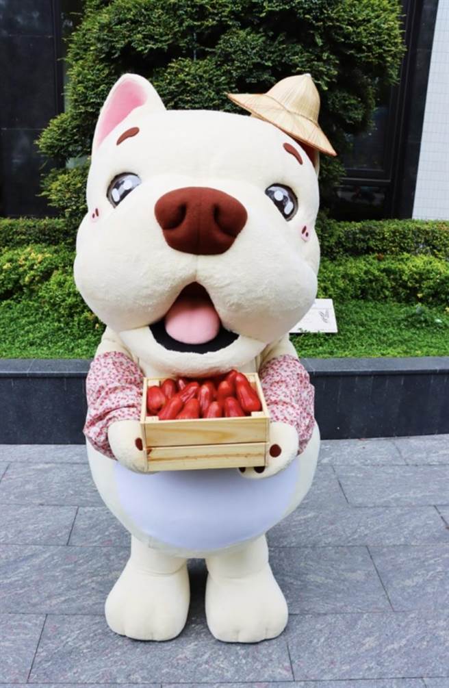 天玉集团吉祥物万仔戴上袖套及斗笠的可爱模样，邀请大家一起相挺台湾农产。（天玉提供）