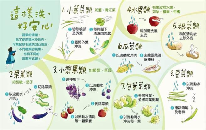（各类蔬果有不同清洗方式，以「流动水」搭配软毛刷清洗蔬果可降低农药残留，主要原则为先清洗→去皮、去蒂头→截切，即可安心享用蔬果。图／农委会提供）