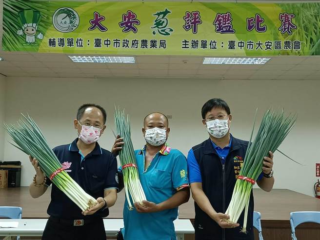 大安區農會舉行優質青葱評鑑，農友陳源明摘下特等獎，已連續3年脫穎而出。（陳淑娥攝）