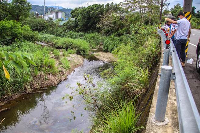 关西镇新城圳南华段出现油污和死鱼，环保局人员到场採水检验。（罗浚滨摄）