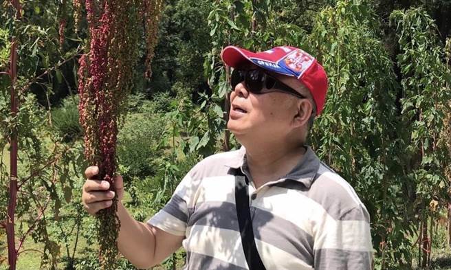 左化鹏》年轻人的火星文自荐信。（照片来源：作者脸书截图）