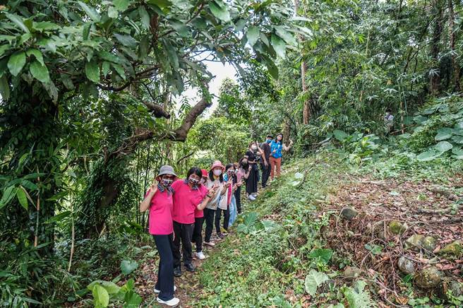 文化局長李安妤（右）等人體驗南山里渡南古道。（羅浚濱攝）