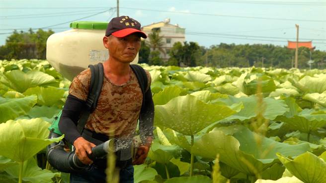 《老鹰之手》主角藕农庄杰全。（天马行空提供）