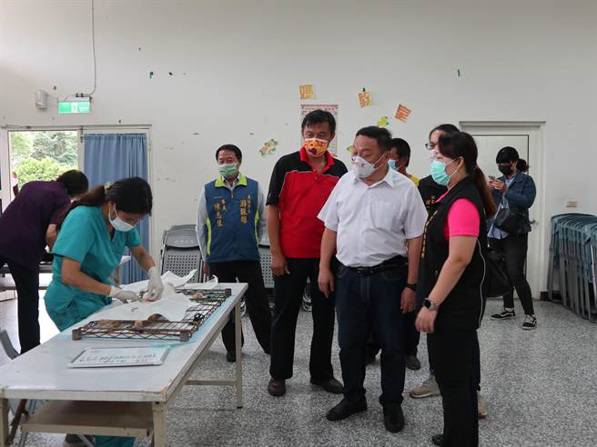 员林市公所今天首度配合彰化县动物防疫所，办理半野放混种犬猫绝育活动。（谢琼云摄）