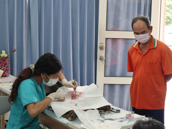 员林市长游振雄(右二)专程到场关心犬猫绝育情形，呼吁大家踊跃至收容所认养浪浪，更要落实宠物饲主责任，爱牠就不要抛弃牠。（谢琼云摄）