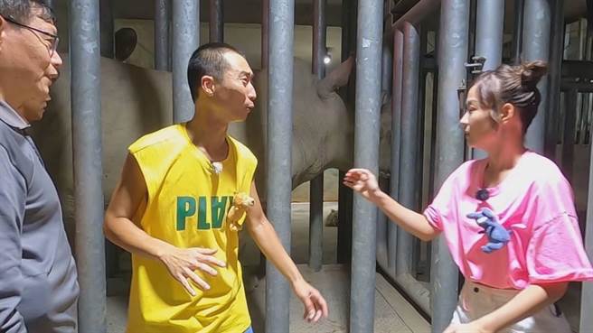 浩子（中）一臉驚恐體驗替犀牛量體重與健康檢查。（民視提供）