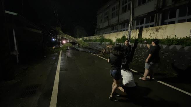 台東縣安朔國小1顆老樹14日晚間倒塌，阻礙道路，也造成全村停電。（溫姓民眾提供／蔡旻妤台東傳真）