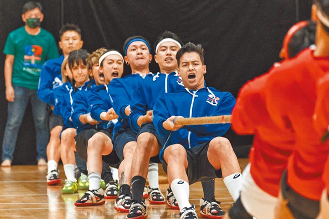 《全明星运动会2》蓝队队员们卖力进行比赛。（宽宏艺术x好看娱乐提供）