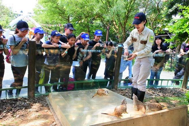 《爱心圆梦∞希望共学》行动由庄福文教基金会与六福村主题游乐园精心规划环境教育体验课程，提升孩子多元的教育机会，期盼让每位孩子都能拥有快乐的童年。(图／六福旅游集团)