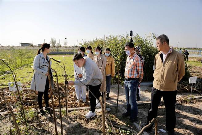 位于东营市的山东农业科学院黄河三角洲现代农业试验示范基地。（图文/蔡如瑜提供）