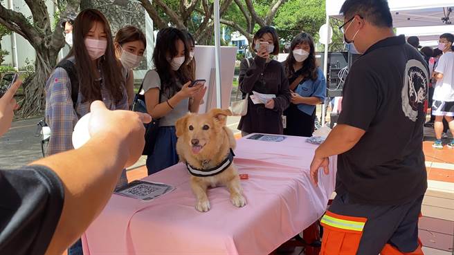 消防局設置地震體驗車、濃煙體驗、搜救犬、一氧化碳及CPR等各式宣導站別，上百位學生積極參與，氣氛熱鬧。（戴上容攝）