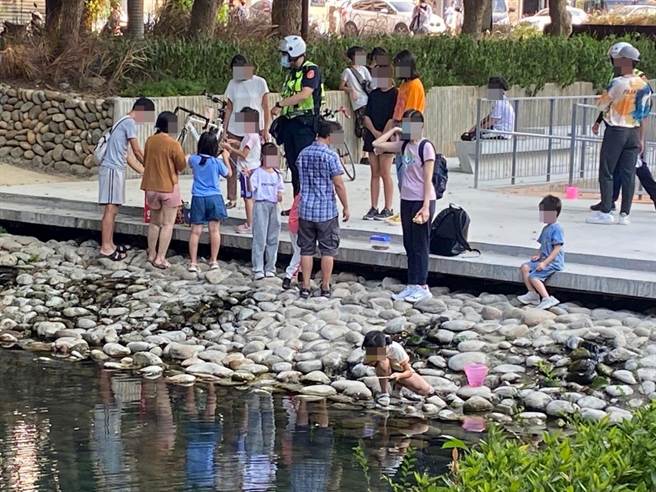 小龙虾现踪新竹市护城河，吸引民眾前往捕捉，但市府呼吁民眾切勿私自垂钓捕捉野生动物。（新竹市府提供／邱立雅竹市传真）