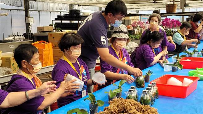 嘉义市社区阿公阿嬷到嘉大当一日大学生上课，开心学做园艺。（廖素慧摄）