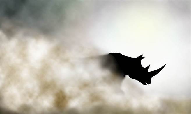 謝金河表示，全球股市這一記長紅化解一個多月來市場因為大陸一連串監管，包括恒大及限電兩隻灰犀牛繼續探底的壓力。（示意圖/達志影像/shutterstock）
