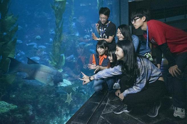 KKday在12月29日前推出超級品牌月活動，獨家送新客限定85折、舊客9折的折扣碼，買熱門樂園票券、台灣大車隊乘車金方案更高鐵車票75折優惠。（KKday提供）