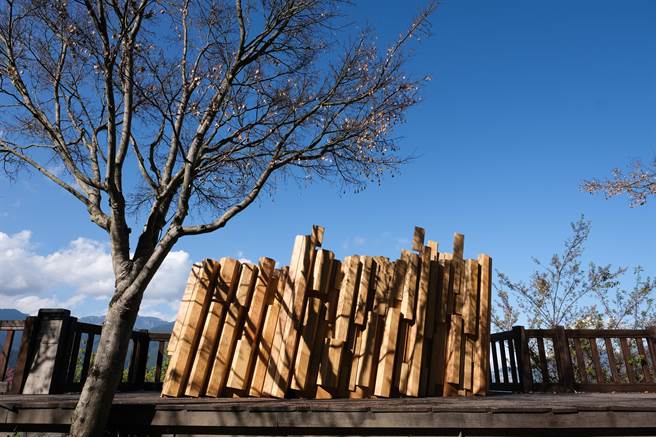 梨山地景艺术节作品「文化青苔」目前于枫之谷展出。（参山处提供／王文吉台中传真）