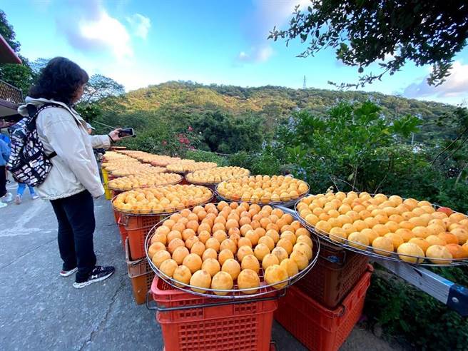 新竹县新埔镇民代表会三读通过防疫纾困条例，新埔镇公所预计12月开始发放每人2000元的防疫纾困金，图为新埔镇有名的柿饼产业。（庄旻静摄）