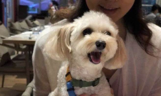 藺奕》人民莫名的亡故、殘疾竟成為生活常態？(圖/愛傳媒提供)