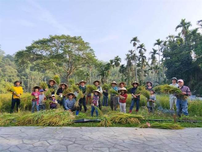 云林县古坑乡华南社区，拿下「金牌农村竞赛」银牌。（云林县政府提供／张朝欣云林传真）