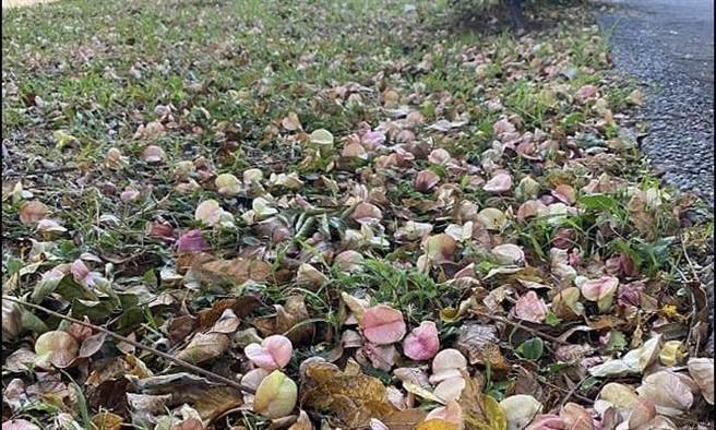 黄文博》人生胜利组，不如人生剩余组！（照片来源：作者提供）